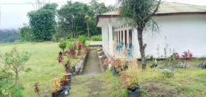 Rice field guest house